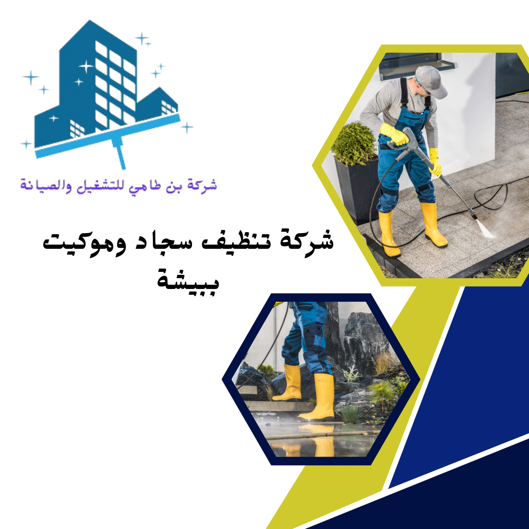 شركة تنظيف سجاد وموكيت ببيشة